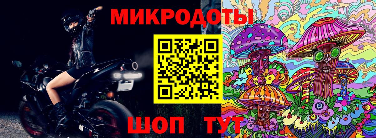 Галлюциногенные грибы мухоморы Ленинск-Кузнецкий